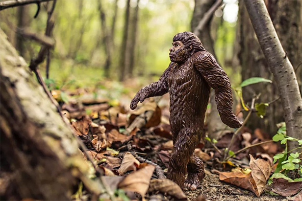 Forest Bigfoot Hunting  App Price Intelligence by Qonversion